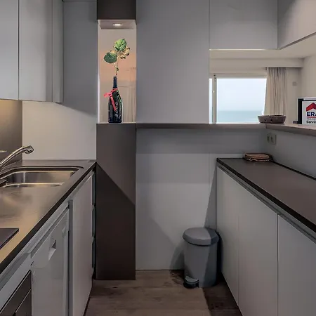 Kraaienest 0301 Ньивпорт